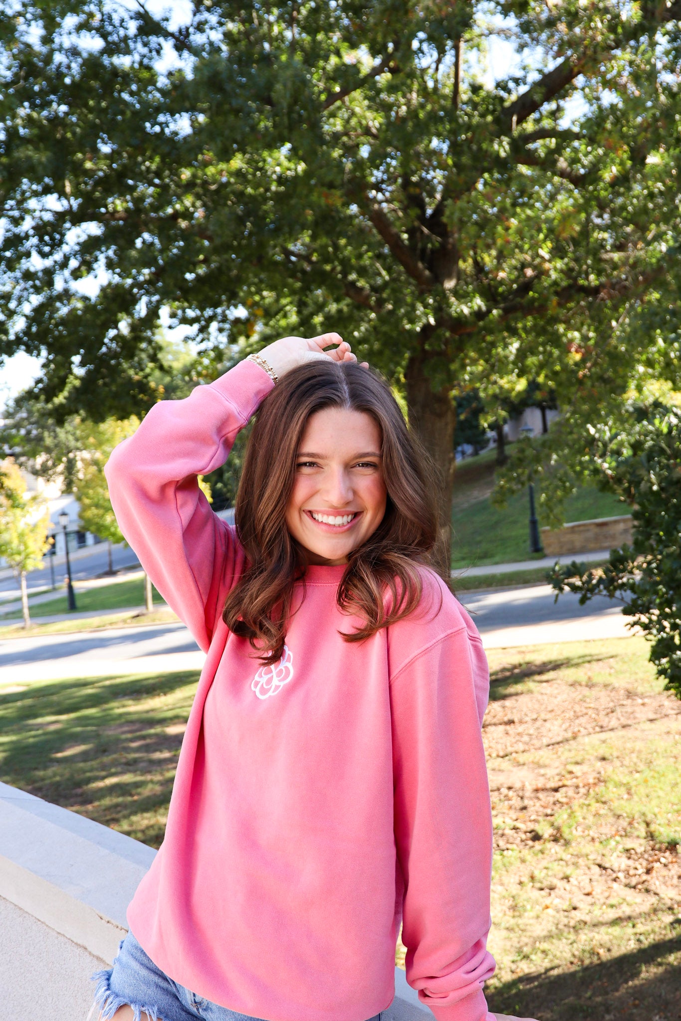 Alpha Omicron Pi Crest Crewneck