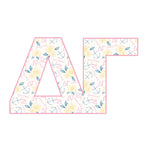 Delta Gamma Acrylic Shelfie