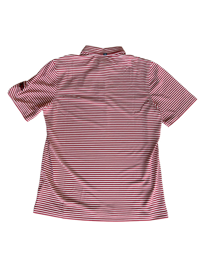 Lambda Chi Alpha Striped Arkansas Polo
