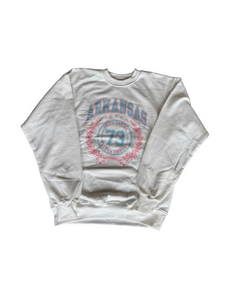 Delta Gamma Arkansas Collegate Crewneck