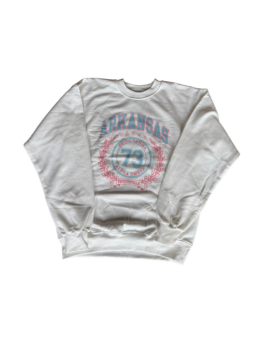 Delta Gamma Arkansas Collegate Crewneck