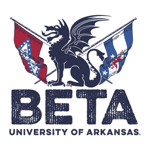 Beta Theta Pi Flag Gildan Hoodie