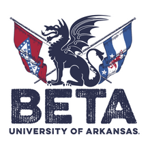 Load image into Gallery viewer, Beta Theta Pi Flag Comfort Colors T-shirt