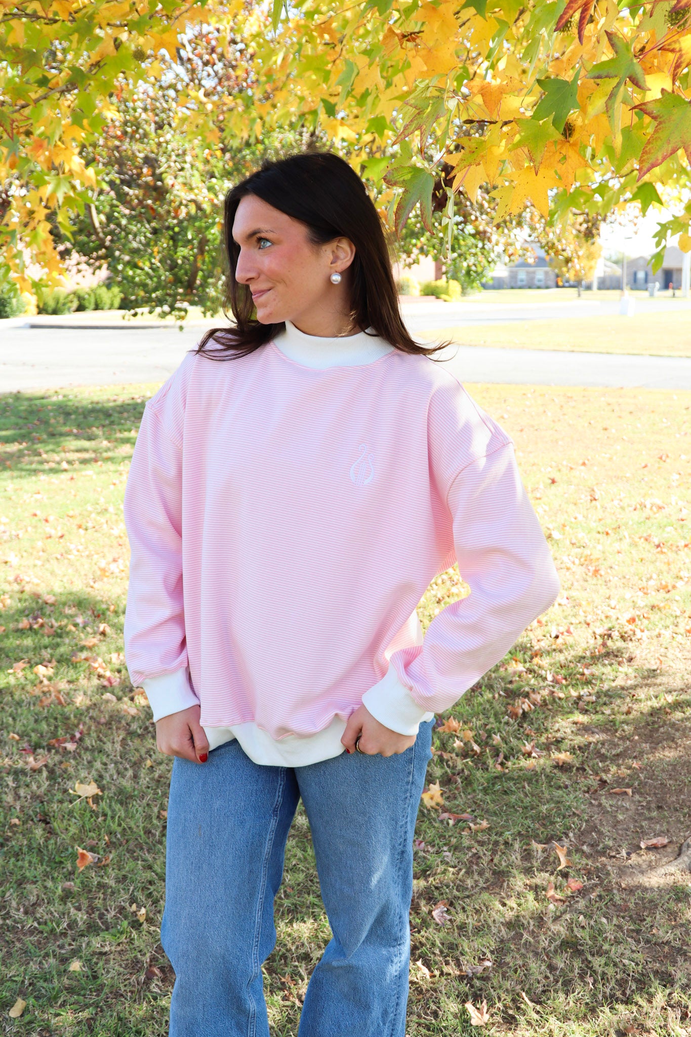 Alpha Chi Omega Pink Striped Mockneck