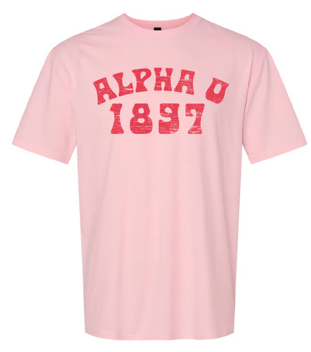 Alpha Omicron Pi Pink/Red T-Shirt