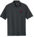 Chi Omega Arkansas Dad Polo