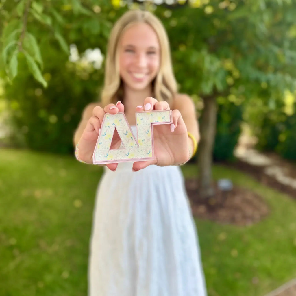 Delta Gamma Acrylic Shelfie