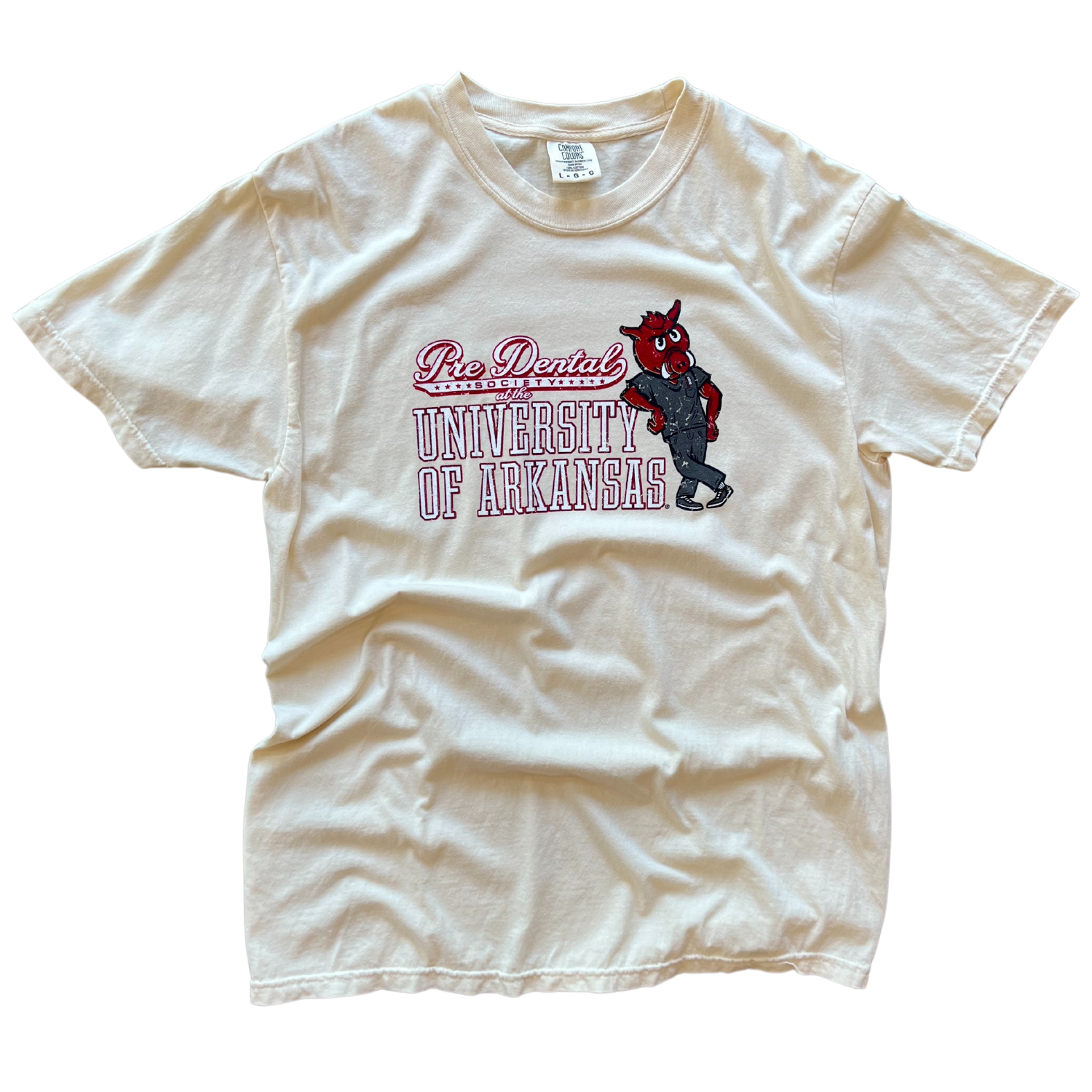 University of Arkansas Pre-Dental Society T-Shirt 2022